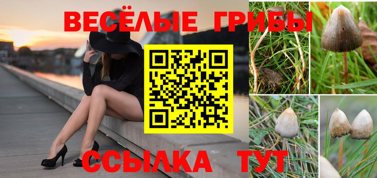 Псилоцибиновые грибы мицелий  Вход с VPN  Жуковский 