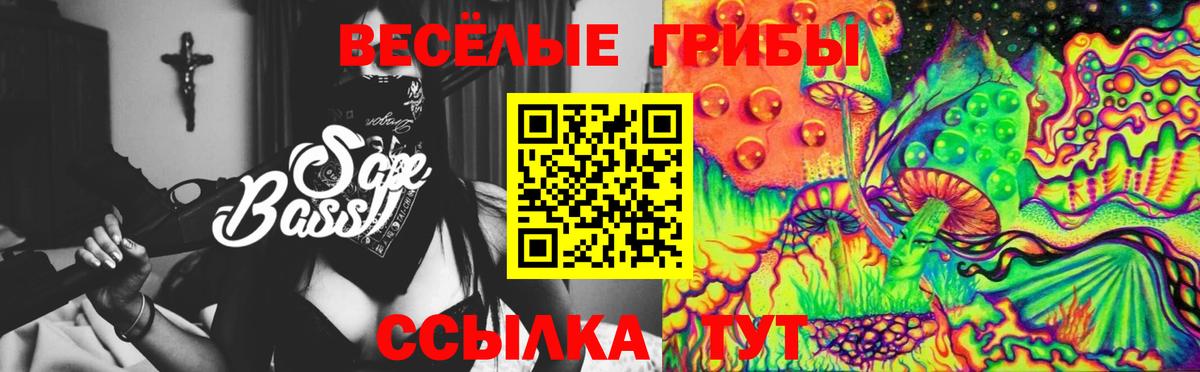 Галлюциногенные грибы Cubensis Жуковский